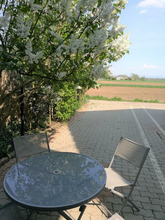 Le Cocon Appart Avec Parking Prive & Terrasse Sainte-Croix-en-Plaine Kültér fotó